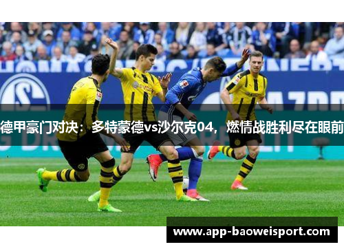 德甲豪门对决：多特蒙德vs沙尔克04，燃情战胜利尽在眼前