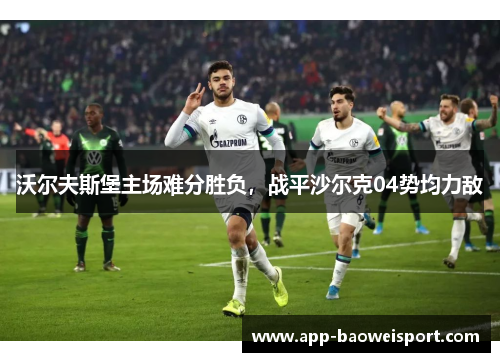 沃尔夫斯堡主场难分胜负，战平沙尔克04势均力敌